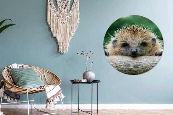 Papier peint Circle - Hérisson - Forêt - Tronc d'arbre - 100x100 cm - Wall Circle XXL