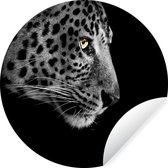 Wallpaper Circle - Léopard - Zwart - Wit - ⌀ 30 cm - Wall Circle