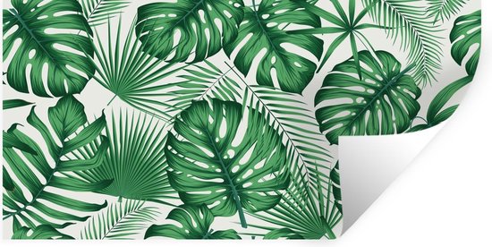 Stickers muraux - Tropical - Jungle - Feuilles - 40x20 cm - Film Adhésif