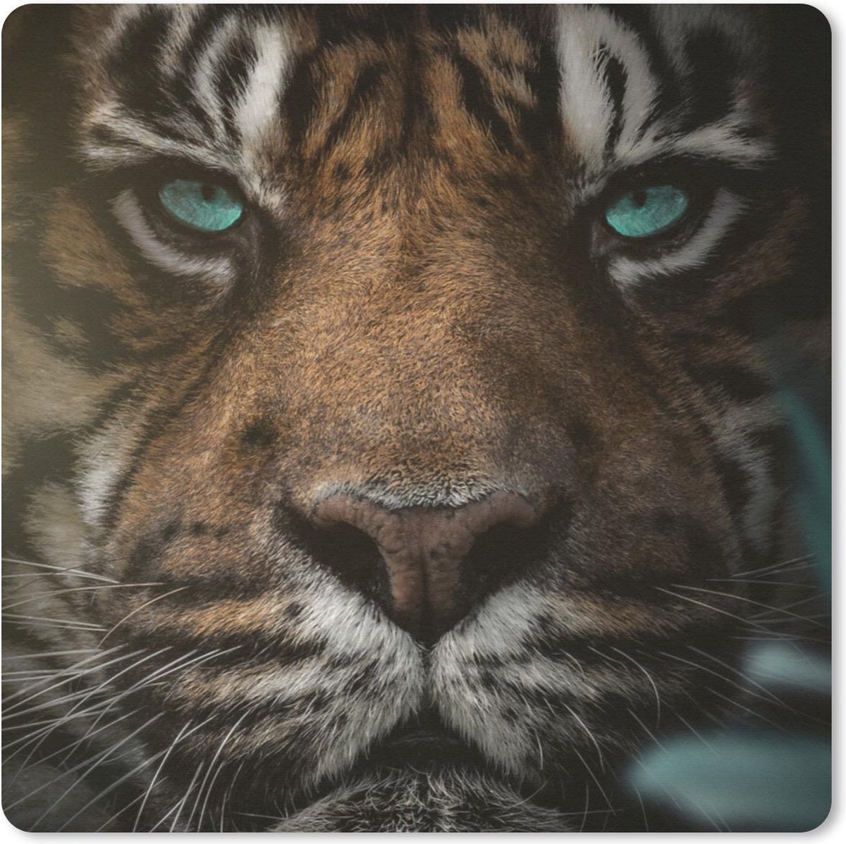 Muismat 30x30 cm - Mousepad Jungle - Tijger - Wilde dieren - Muismatten
