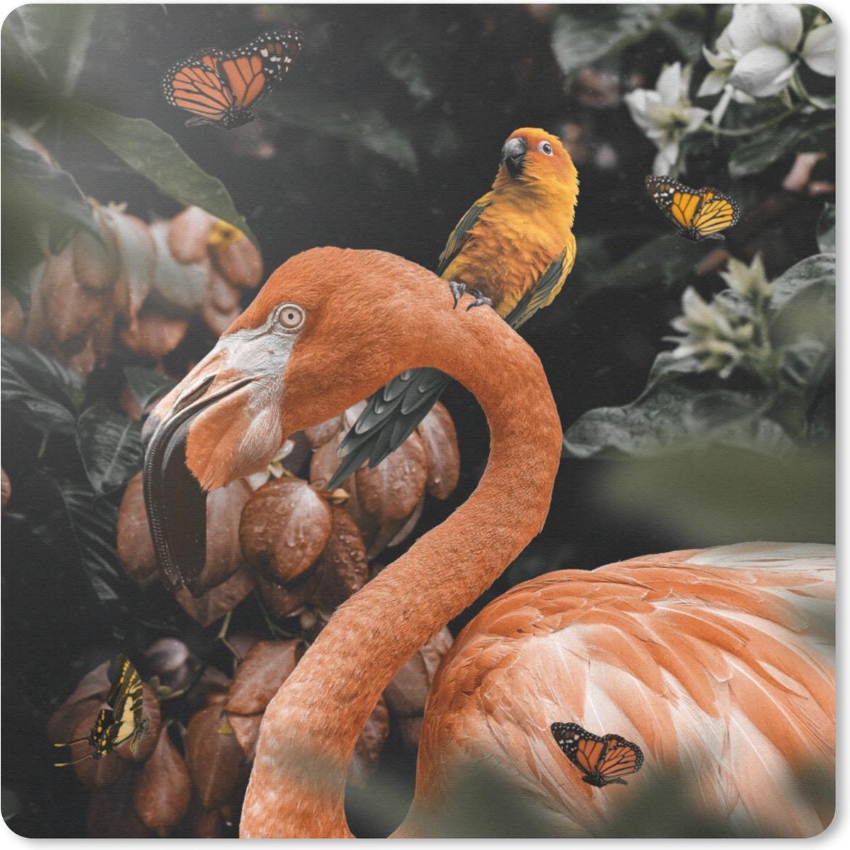 Muismat 20x20 cm - Mousepad Flamingo - Jungle - Papegaai - Muismatten