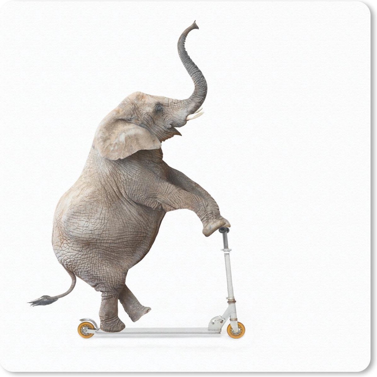 Muismat 20x20 cm - Mousepad Step - Olifant - Wit - Muismatten