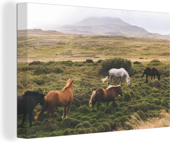 Canvas Schilderij Paarden - IJsland - Bruin - 60x40 cm - Wanddecoratie