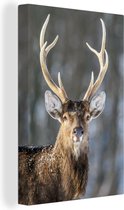 Peintures sur toile Cerf - Wit - Marron - Bois - 60x90 cm - Décoration murale