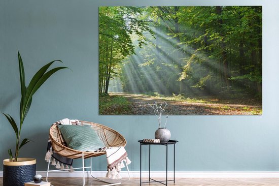 Zonnestralen op een bosweg, hangend boven een rieten stoel in een woonkamer.