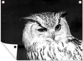 Décoration de Jardin Hibou marron fait un clin d'oeil - noir et blanc - 40x30 cm