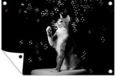 Posters de jardin Chat à bulles - noir et blanc - 90x60 cm - Toile de jardin