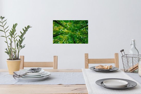 Stickers Stickers muraux - Forêt - Arbres - Vert - 30x20 cm - Feuille adhésive