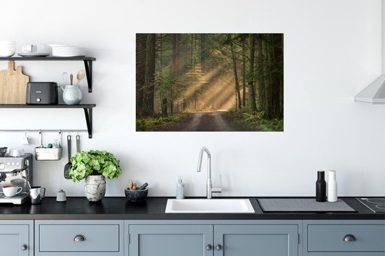 Stickers Stickers muraux - Forêt - Arbre - Chemin - 90x60 cm - Feuille adhésive