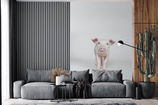 Behang - Fotobehang Varken - Roze - Wit - Breedte 155 cm x hoogte 240 cm