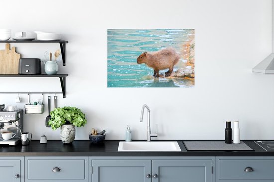Affiche Un Capybara au bord de l'eau sous un soleil doux - 60x40 cm