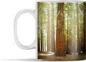 Mok - Bos in het Nationaal park Redwood in Noord-Amerika - 350 ml - Beker