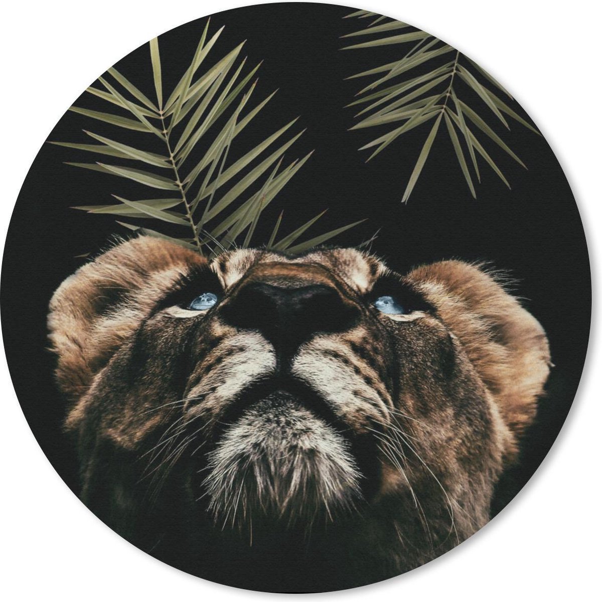 Muismat rond 50x50 cm - Mousepad Tijger - Varen - Zwart - Ronde muismatten