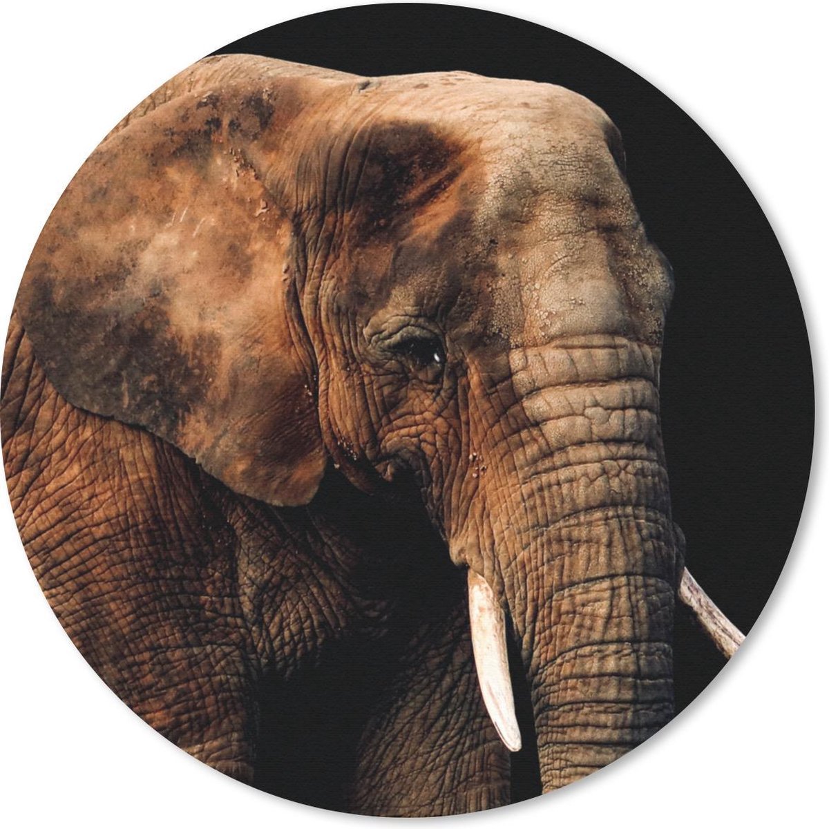 Muismat rond 40x40 cm - Mousepad Olifant - Dieren - Bruin - Ronde muismatten