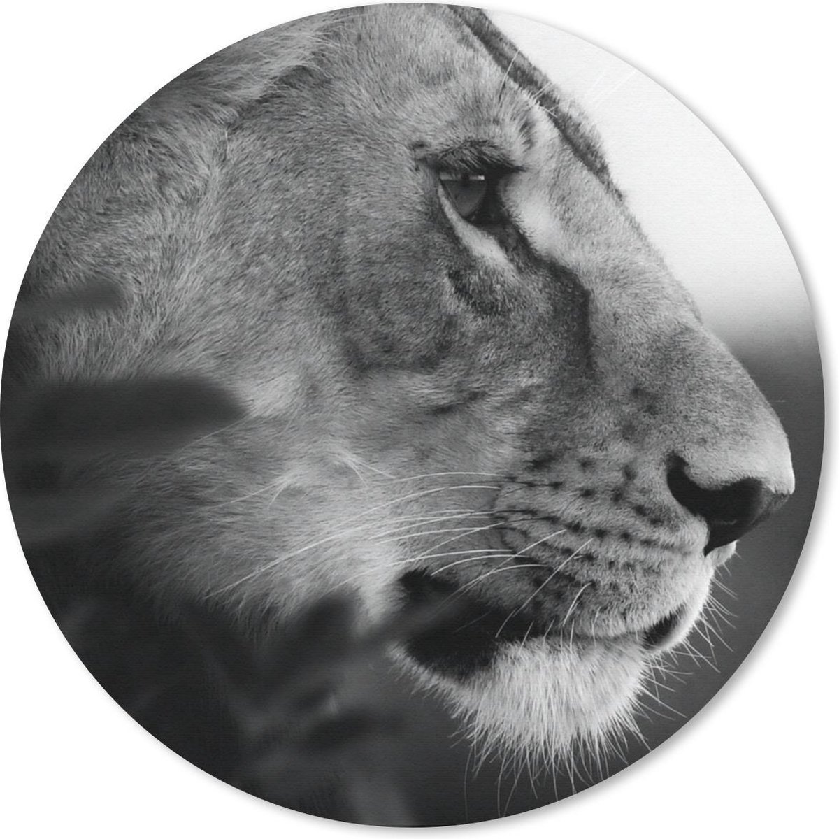 Muismat rond 40x40 cm - Mousepad Leeuw - Wilde dieren - Jungle - Zwart - Wit - Ronde muismatten