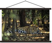 Un jaguar au repos à l'ombre des arbres de la jungle poster textielposter 150x100 cm