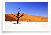 Walljar - Desert in Namibia - Muurdecoratie - Poster