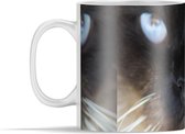 Mok - Close up van een Siamese kat - 350 ml - Beker