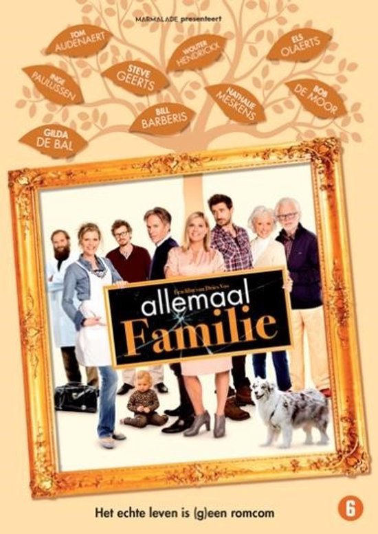 Een groep acteurs in een lijst, met de titel 'allemaal Familie'. Ondertitel: 'Het echte leven is (g)een romcom'.