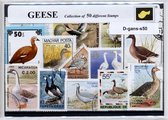 Ganzen – Luxe postzegel pakket (A6 formaat) - collectie van 50 verschillende postzegels van ganzen – kan als ansichtkaart in een A6 envelop. Authentiek cadeau - kado - kaart - wate