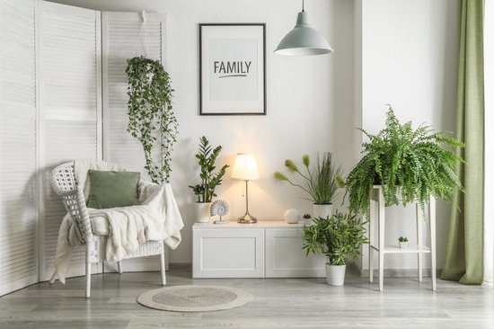 Lichtgroene gordijnen in een woonkamer met veel planten en een mandenstoel.