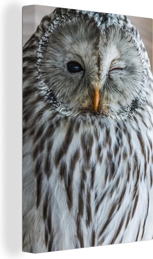 Peintures sur toile Hibou - Ressorts - Portrait - 90x140 cm - Décoration murale