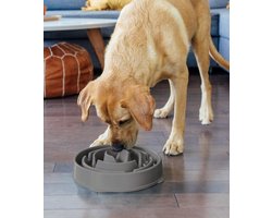 Outward Hound Fun Feeder - Anti Schrok Hondenvoerbak - 6 kleuren en 3 maten - door Dierenartsen aanbevolen Slow Bowl - Medium/Mini - Grijs