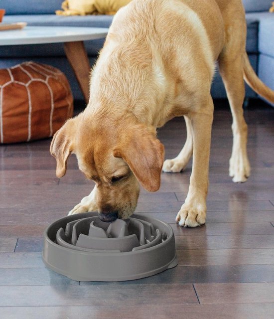 Outward Hound Fun Feeder - Anti Schrok Hondenvoerbak - 6 kleuren en 3 maten - door Dierenartsen aanbevolen Slow Bowl - Medium/Mini - Grijs