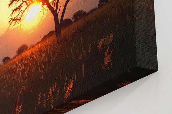 Artaza Canvas Schilderij Zonsondergang Achter Een Acacia Boom - 120x60 cm - Groot - Wanddecoratie Woonkamer - Schilderijen - Muurdecoratie