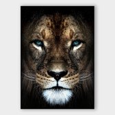Poster Lion Close-up - Plexiglas - Meerdere Afmetingen & Prijzen | Wanddecoratie - Interieur - Art - Wonen - Schilderij - Kunst