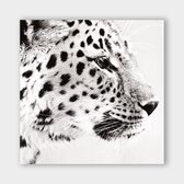 Poster Light Leopard ² - Plexiglas - Meerdere Afmetingen & Prijzen | Wanddecoratie - Interieur - Art - Wonen - Schilderij - Kunst