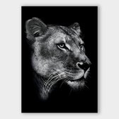 Poster Dark Lioness - Plexiglas - Meerdere Afmetingen & Prijzen | Wanddecoratie - Interieur - Art - Wonen - Schilderij - Kunst