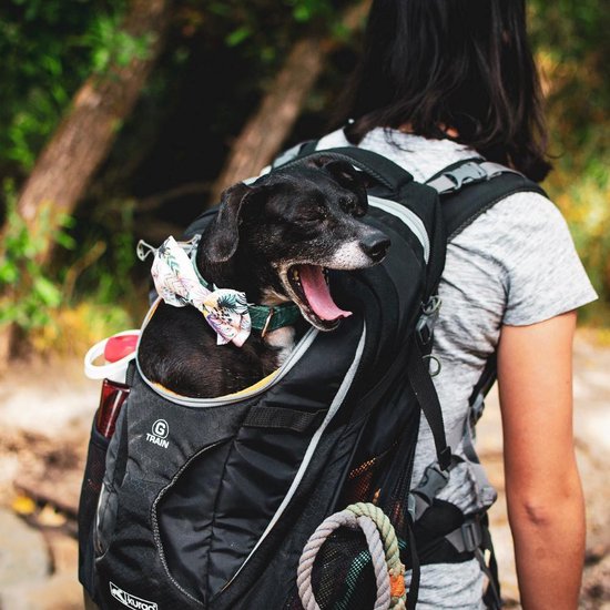 Kurgo G-Train Pack honden transportbox | honden tran