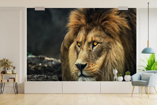Papier peint - Papier peint photo Lion - Portrait - Sauvage - Largeur 420 cm x hauteur 280 cm