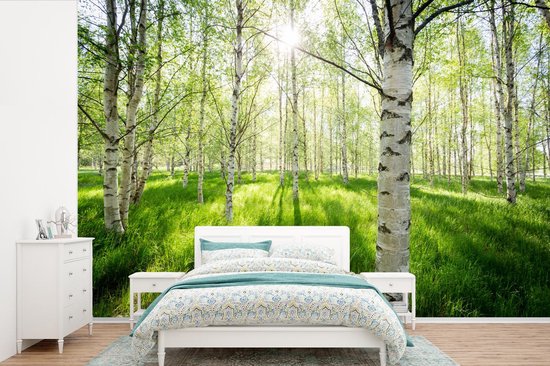 Papier peint - Papier peint photo Bouleau - Forêt - Printemps - Largeur 390 cm x hauteur 260 cm