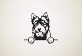 Norwich Terrier - hond met pootjes - S - 45x48cm - Zwart - wanddecoratie