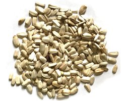 Vogelvoer  1 kg | Konacorn Witte Zonnebloempitten