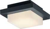 LED Tuinverlichting - Tuinlamp Plafond - Torna Hando - 3W - Mat Antraciet - Aluminium