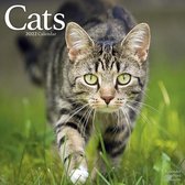 Cats - Katzen 2022 - 16-Monatskalender