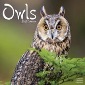 Owls Kalender 2022