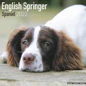 English Springer Spaniels 2022 - 18-Monatskalender mit freie
