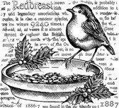 The Redbreast Unmounted Rubber Stamps (CI-575)