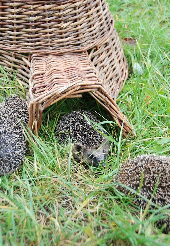 Esschert Design - Hedgehog Basket Willow Branches - Marron - 53 x 41 x 21 cm