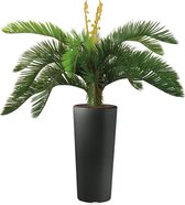 Kunstplant Cycas in Clou rond antraciet H105 cm - HTT Decorations