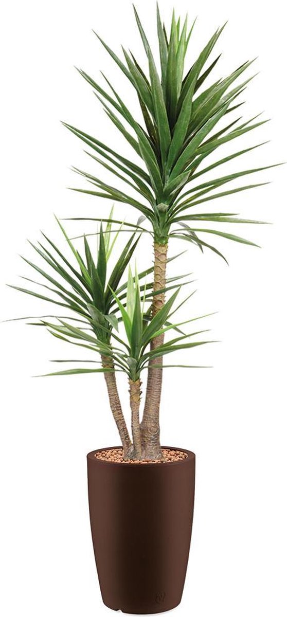 HTT Decorations HTT - Kunstplant Yucca in Genesis rond bruin H200 cm