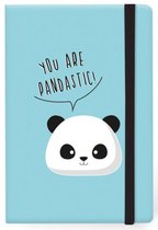 notitieboek Panda A5 24 x 14 cm papier lichtblauw