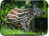 Laptophoes 14 inch - Jonge tapir in de jungle - Laptop sleeve - Binnenmaat 34x23,5 cm - Zwarte achterkant