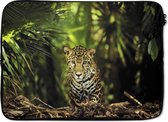 Laptophoes 14 inch - Jonge jaguar in de jungle - Laptop sleeve - Binnenmaat 34x23,5 cm - Zwarte achterkant