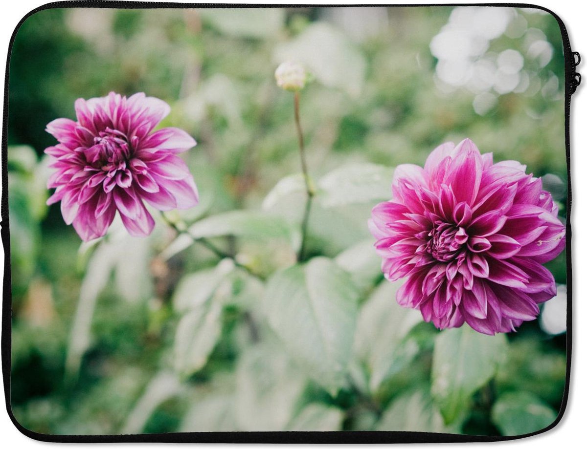 Laptophoes 17 inch - Dahlia's in de bloei - Laptop sleeve - Binnenmaat 41x28 cm - Zwarte achterkant