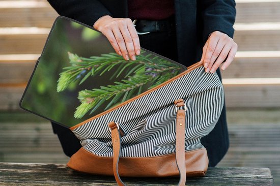 Etui pour ordinateur portable 13 pouces 34x24 cm - Sapin - Etui pour Macbook & Laptop Close-up d'une branche de sapin - Etui pour ordinateur portable avec photo